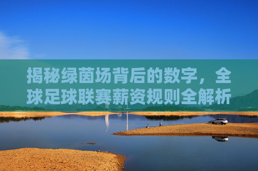 揭秘绿茵场背后的数字,全球足球联赛薪资规则全解析