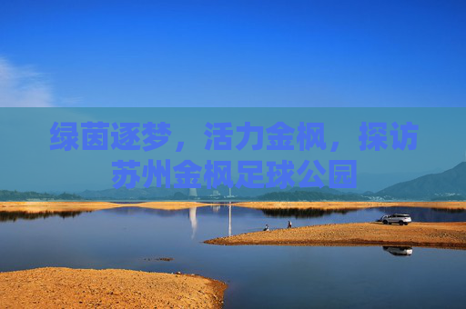 绿茵逐梦,活力金枫,探访苏州金枫足球公园