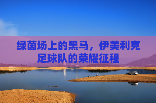 绿茵场上的黑马,伊美利克足球队的荣耀征程