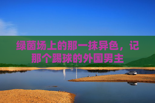 绿茵场上的那一抹异色,记那个踢球的外国男主