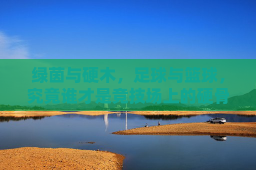 绿茵与硬木,足球与篮球,究竟谁才是竞技场上的硬骨头?
