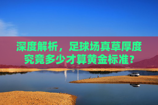 深度解析,足球场真草厚度究竟多少才算黄金标准?