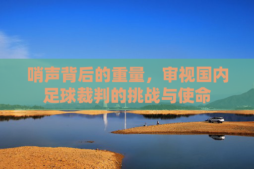 哨声背后的重量,审视国内足球裁判的挑战与使命