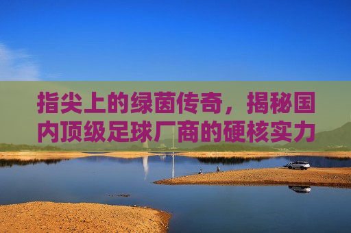 指尖上的绿茵传奇,揭秘国内顶级足球厂商的硬核实力