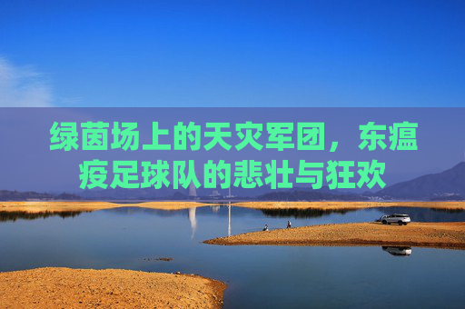 绿茵场上的天灾军团,东瘟疫足球队的悲壮与狂欢