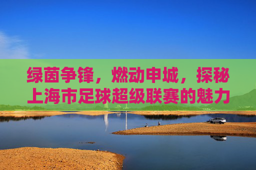 绿茵争锋,燃动申城,探秘上海市足球超级联赛的魅力与激情