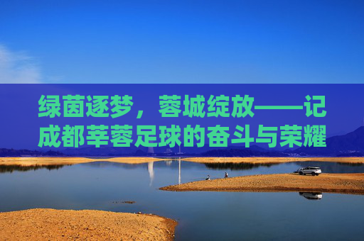 绿茵逐梦，蓉城绽放——记成都莘蓉足球的奋斗与荣耀