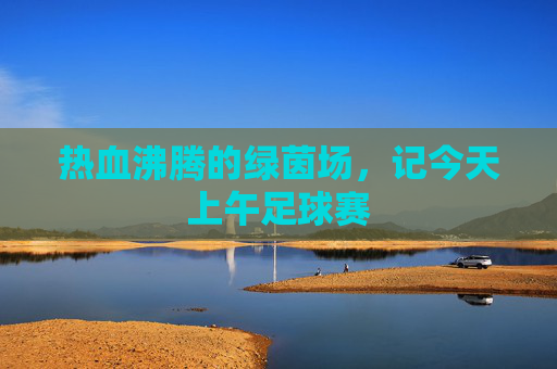 热血沸腾的绿茵场,记今天上午足球赛