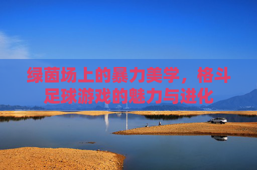 绿茵场上的暴力美学,格斗足球游戏的魅力与进化