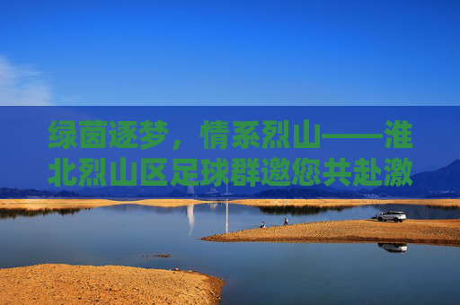 绿茵逐梦,情系烈山——淮北烈山区足球群邀您共赴激情之约