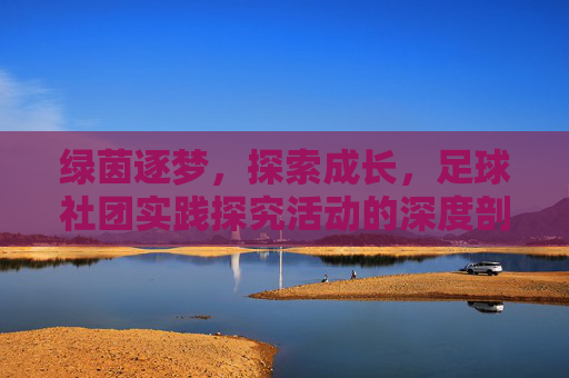绿茵逐梦,探索成长,足球社团实践探究活动的深度剖析