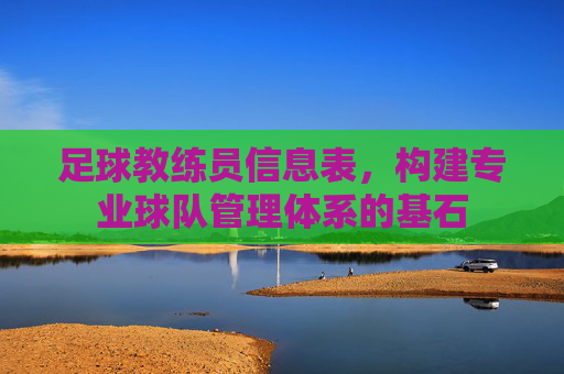 足球教练员信息表,构建专业球队管理体系的基石