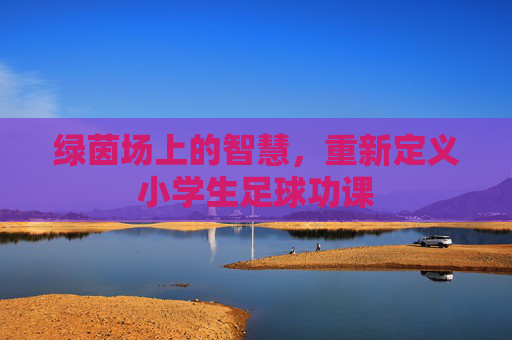 绿茵场上的智慧,重新定义小学生足球功课