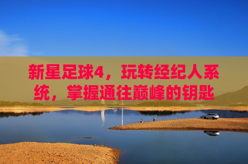 新星足球4,玩转经纪人系统,掌握通往巅峰的钥匙