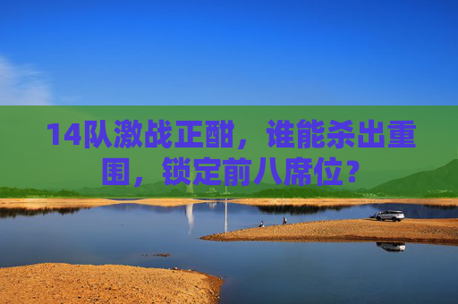 14队激战正酣,谁能杀出重围,锁定前八席位?