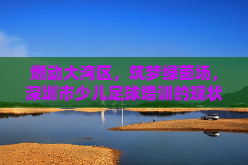 燃动大湾区，筑梦绿茵场，深圳市少儿足球培训的现状与选择指南