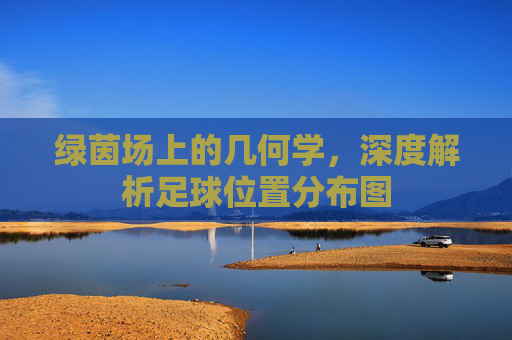 绿茵场上的几何学，深度解析足球位置分布图