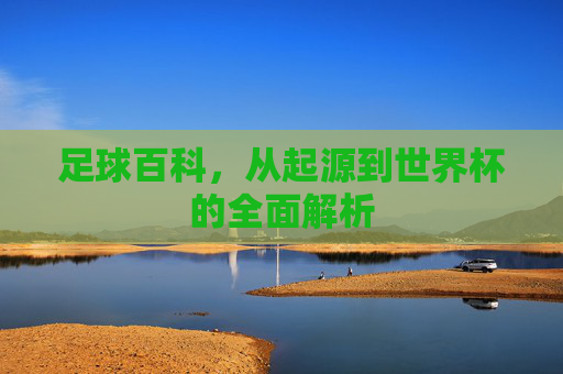 足球百科，从起源到世界杯的全面解析
