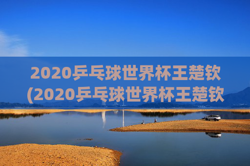 2020乒乓球世界杯王楚钦(2020乒乓球世界杯王楚钦参加了吗)