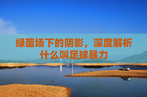 绿茵场下的阴影，深度解析什么叫足球暴力