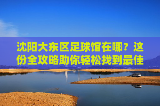 沈阳大东区足球馆在哪?这份全攻略助你轻松找到最佳踢球地