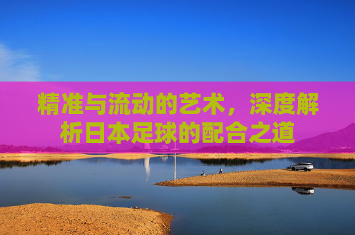 精准与流动的艺术,深度解析日本足球的配合之道