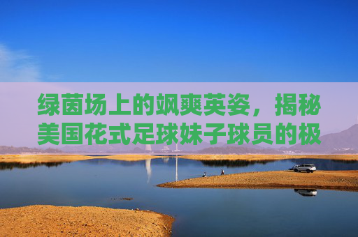 绿茵场上的飒爽英姿,揭秘美国花式足球妹子球员的极限魅力
