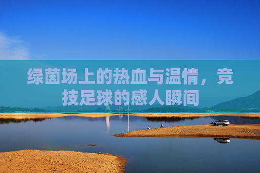 绿茵场上的热血与温情,竞技足球的感人瞬间