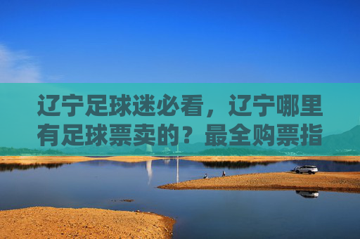 辽宁足球迷必看,辽宁哪里有足球票卖的?最全购票指南来了!