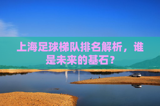 上海足球梯队排名解析,谁是未来的基石?
