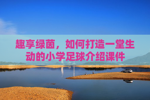 趣享绿茵,如何打造一堂生动的小学足球介绍课件
