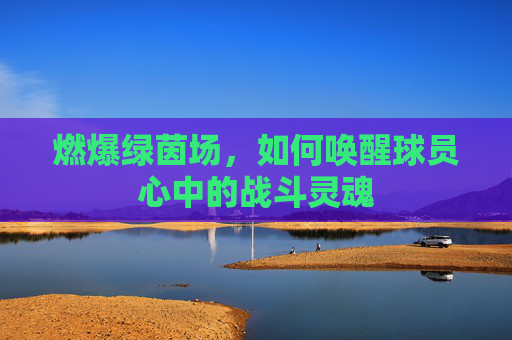 燃爆绿茵场,如何唤醒球员心中的战斗灵魂