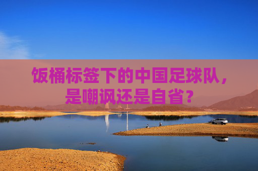 饭桶标签下的中国足球队,是嘲讽还是自省?