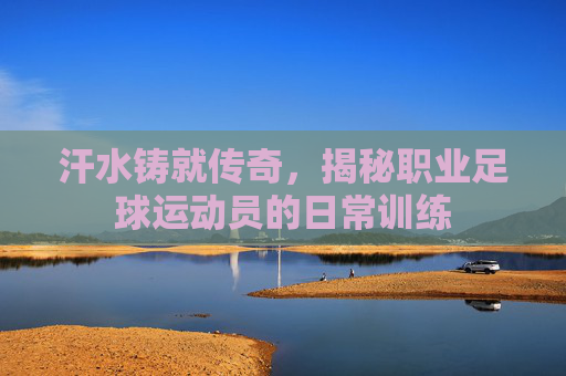 汗水铸就传奇,揭秘职业足球运动员的日常训练