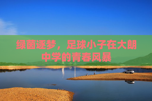 绿茵逐梦,足球小子在大朗中学的青春风暴