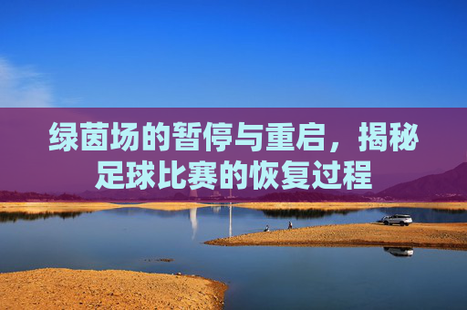 绿茵场的暂停与重启,揭秘足球比赛的恢复过程