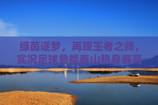 绿茵逐梦,再现王者之师,实况足球鲁能泰山热身赛高光时刻