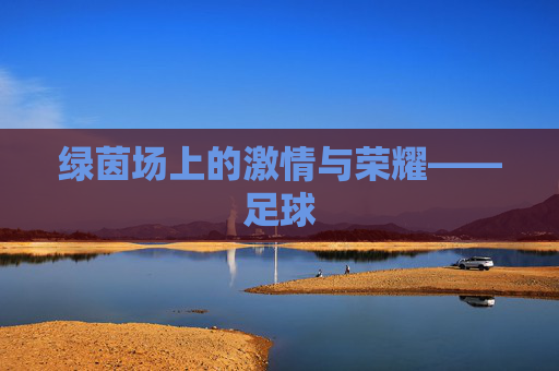 绿茵场上的激情与荣耀——足球