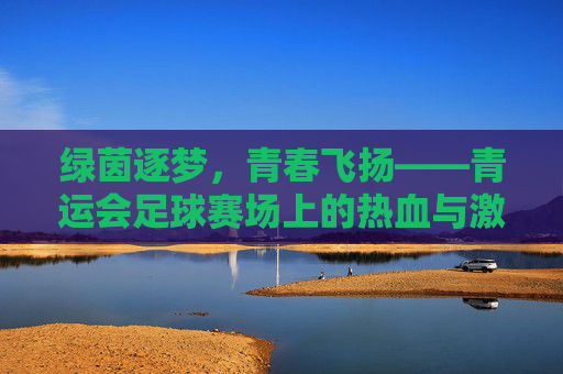 绿茵逐梦，青春飞扬——青运会足球赛场上的热血与激情