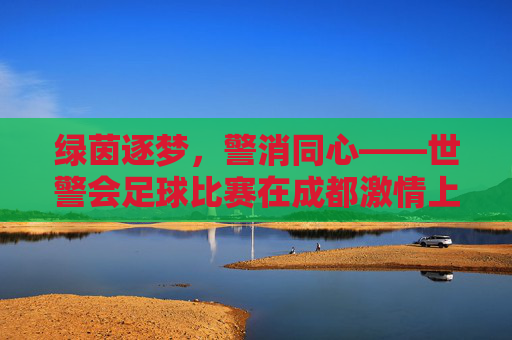 绿茵逐梦,警消同心——世警会足球比赛在成都激情上演