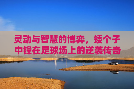 灵动与智慧的博弈,矮个子中锋在足球场上的逆袭传奇