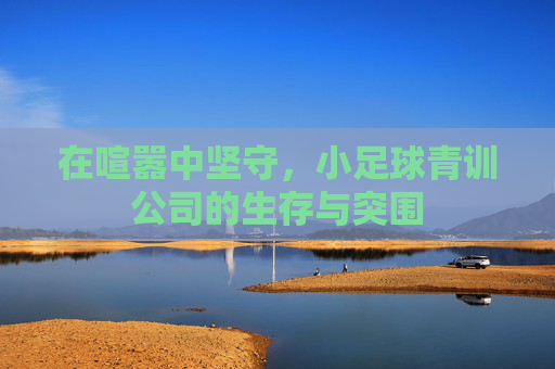 在喧嚣中坚守，小足球青训公司的生存与突围