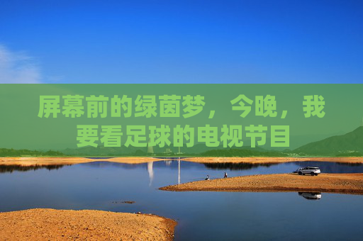 屏幕前的绿茵梦,今晚,我要看足球的电视节目
