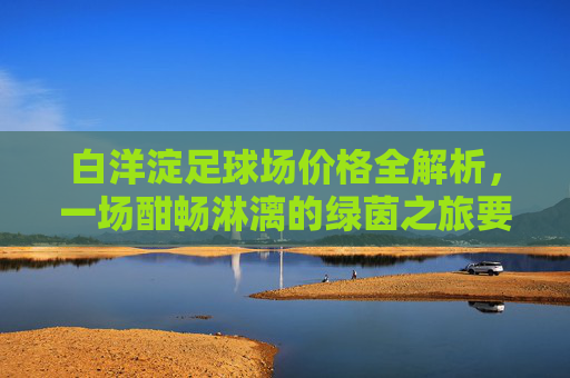 白洋淀足球场价格全解析,一场酣畅淋漓的绿茵之旅要花多少钱?