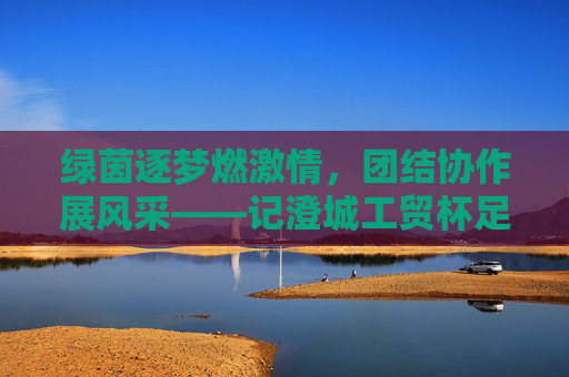 绿茵逐梦燃激情,团结协作展风采——记澄城工贸杯足球赛圆满落幕