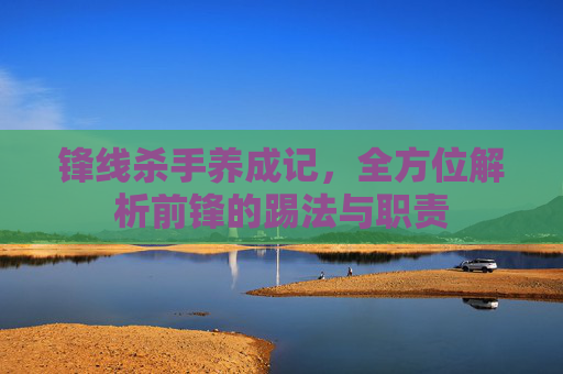 锋线杀手养成记,全方位解析前锋的踢法与职责