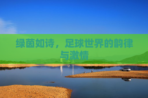 绿茵如诗,足球世界的韵律与激情