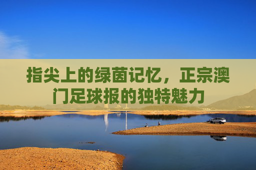 指尖上的绿茵记忆,正宗澳门足球报的独特魅力