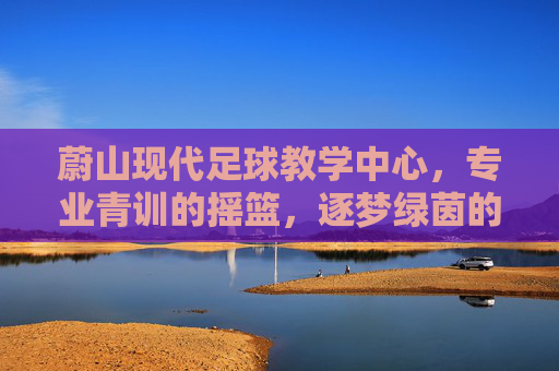 蔚山现代足球教学中心,专业青训的摇篮,逐梦绿茵的起点