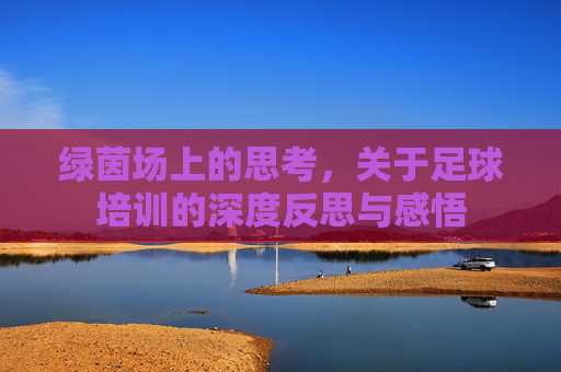 绿茵场上的思考,关于足球培训的深度反思与感悟